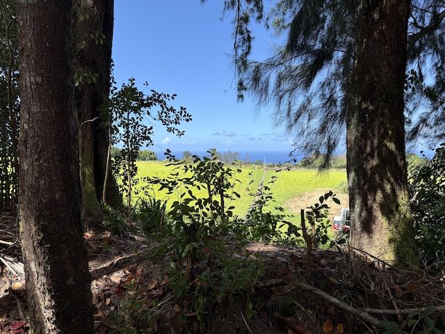 Chin Chuck Rd, Hakalau, HI 96710