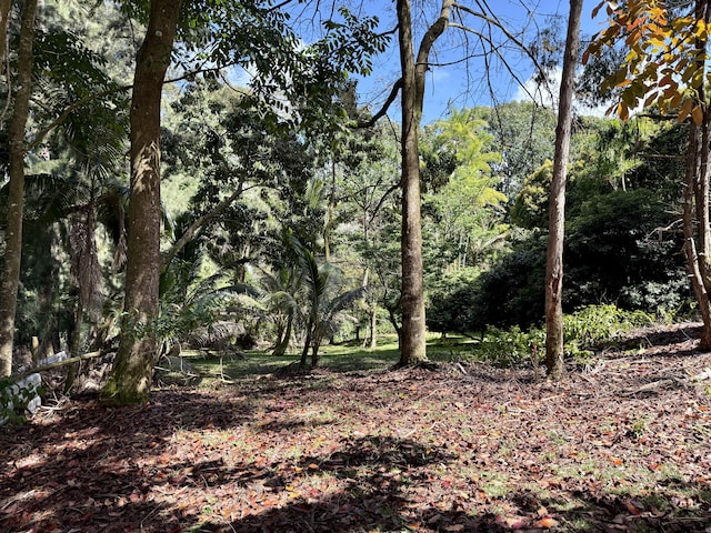 Chin Chuck Rd, Hakalau, HI 96710