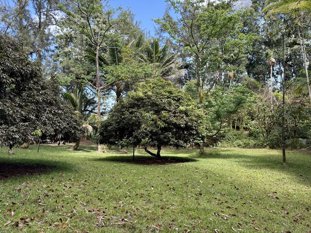 Chin Chuck Rd, Hakalau, HI 96710