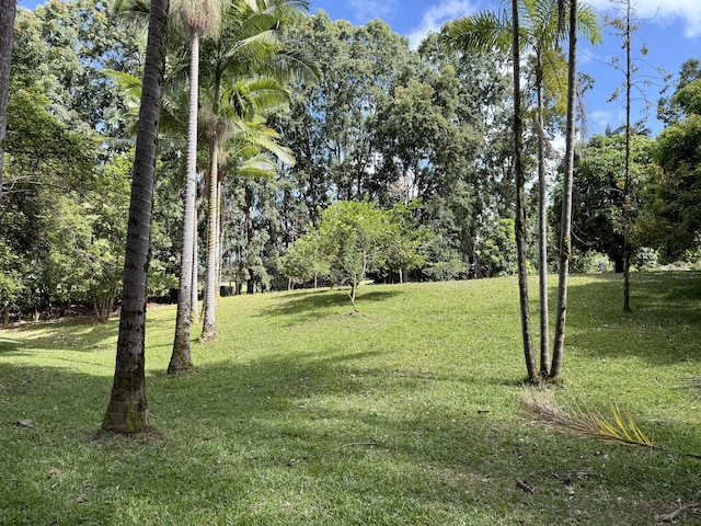 Chin Chuck Rd, Hakalau, HI 96710