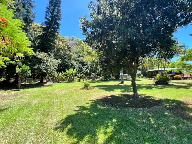 95-5974-A Mamalahoa Hwy, Naalehu, HI 96772 - view of yard