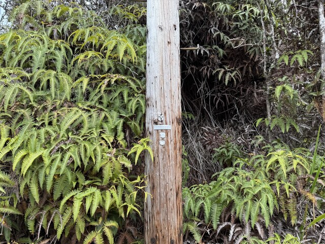 8th St, Volcano, HI 96785