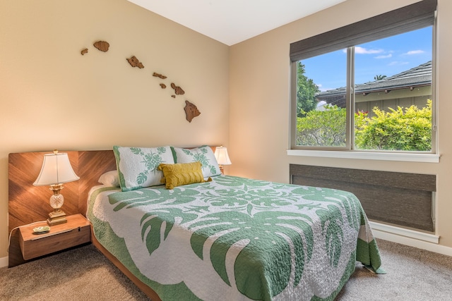 68-1376 Pauoa Rd Unit E1, Kamuela, HI 96743 - bedroom with carpet
