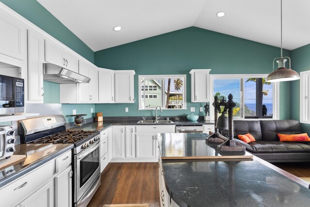 36-2331 Old Mamalahoa Hwy, Laupahoehoe, HI 96764 - kitchen with appliances with stainless steel finishes, under cabinet range hood, a sink, vaulted ceiling, and dark wood-style flooring