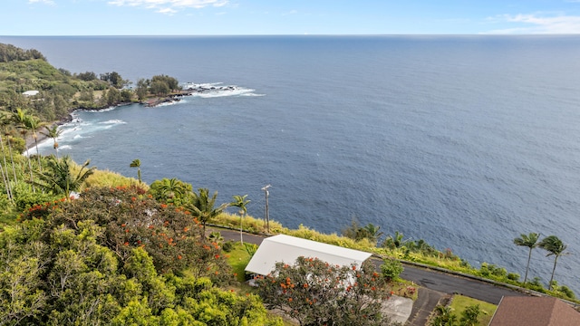 36-2331 Old Mamalahoa Hwy, Laupahoehoe, HI 96764 - water view