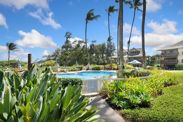 4460 Nehe Rd Unit 228, Lihue, HI 96766 - view of community pool