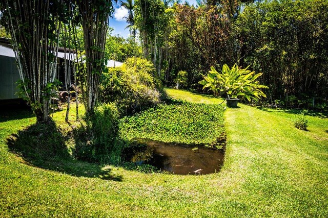29-2612 Kaiwiki Homestead Rd, Hakalau, HI 96710 - photo 19