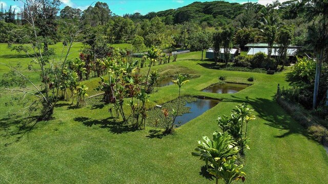29-2612 Kaiwiki Homestead Rd, Hakalau, HI 96710 - photo 20