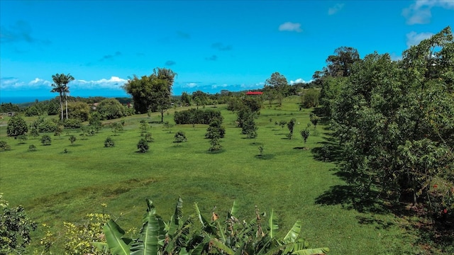 29-2612 Kaiwiki Homestead Rd, Hakalau, HI 96710 - photo 22