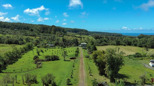 29-2612 Kaiwiki Homestead Rd, Hakalau, HI 96710 - photo 23