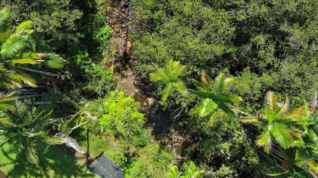 29-2612 Kaiwiki Homestead Rd, Hakalau, HI 96710 - photo 24