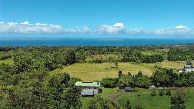 29-2612 Kaiwiki Homestead Rd, Hakalau, HI 96710 - photo 28