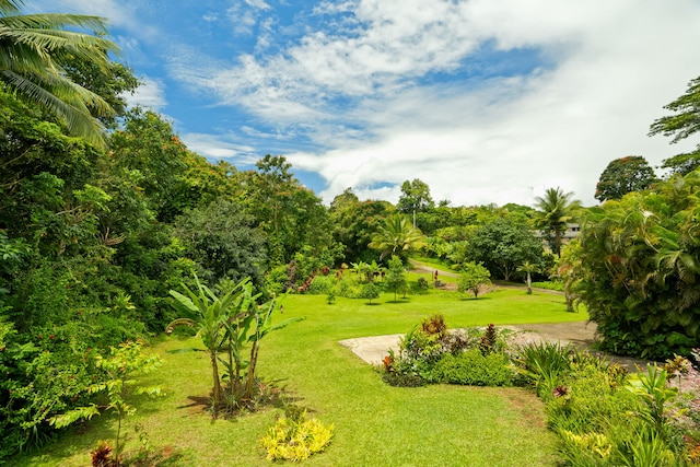 6240 Olohena Rd, Kapaa, HI 96746 - photo 8