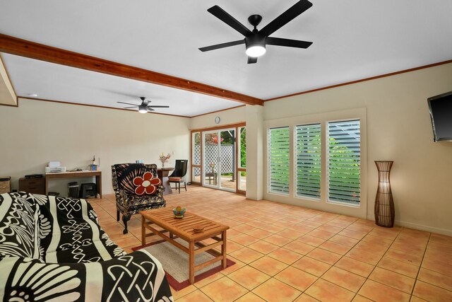 6240 Olohena Rd, Kapaa, HI 96746 - photo 20
