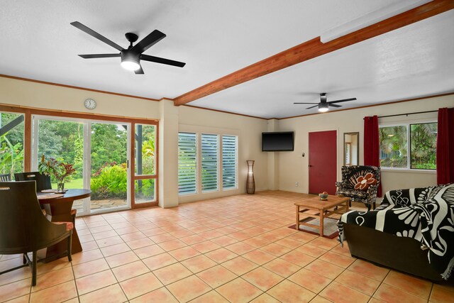 6240 Olohena Rd, Kapaa, HI 96746 - photo 21