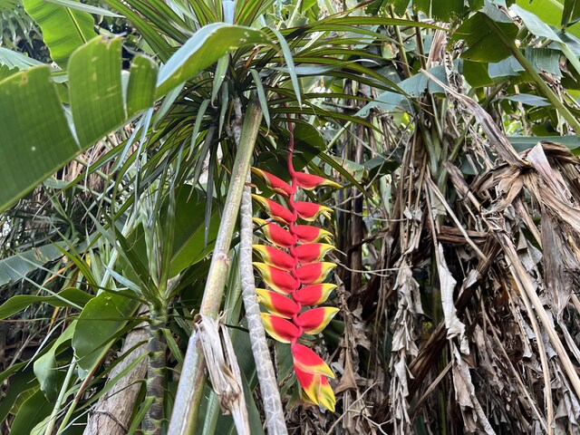 Kukuau St, Hilo, HI 96720