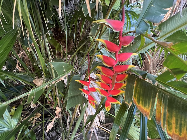 Kukuau St, Hilo, HI 96720