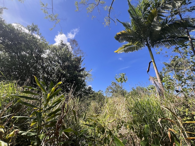 Kukuau St, Hilo, HI 96720