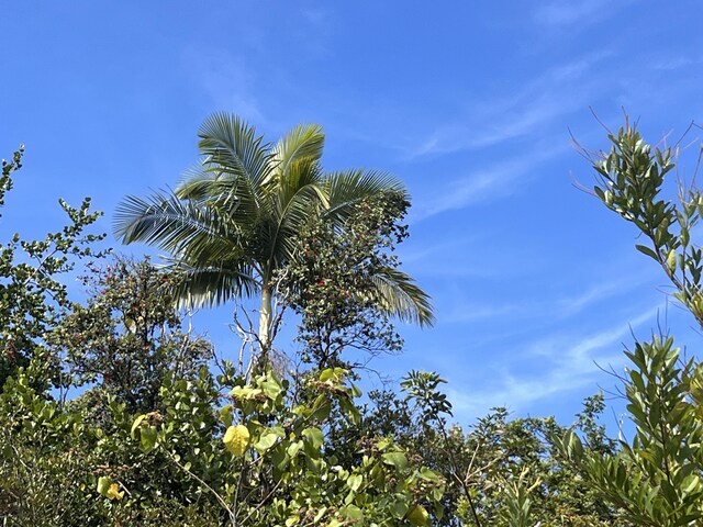 Kukuau St, Hilo, HI 96720
