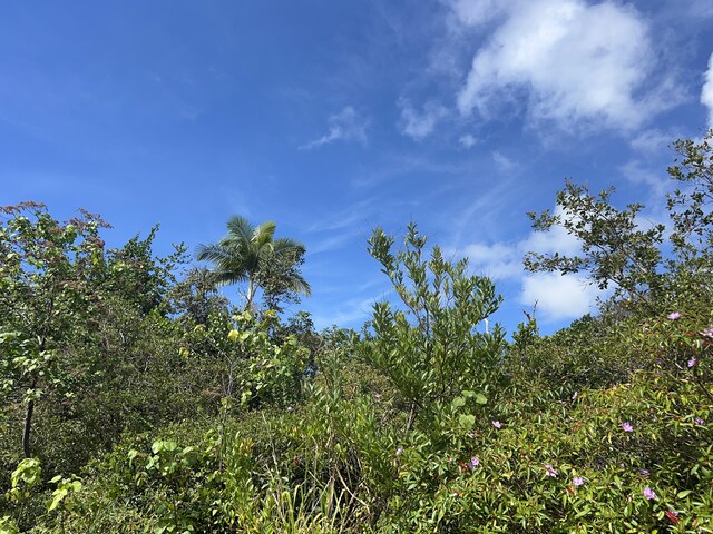 Kukuau St, Hilo, HI 96720