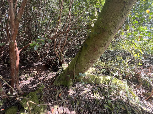 Kukuau St, Hilo, HI 96720