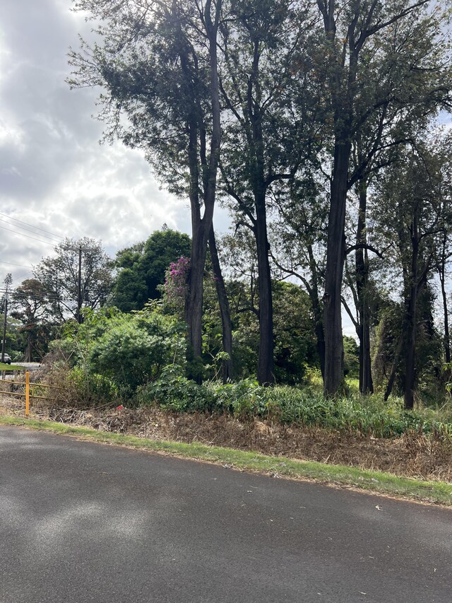 96-1243 Huapala St, Pahala, HI 96777 - photo 8