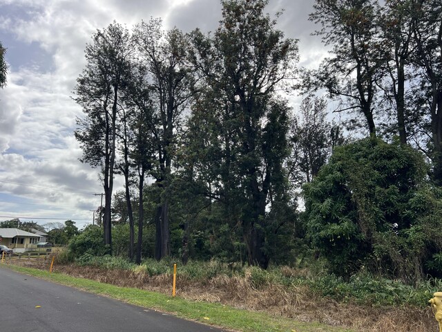 96-1243 Huapala St, Pahala, HI 96777 - photo 10
