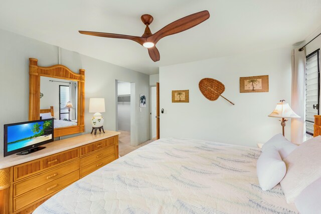 78-7070 Alii Dr Unit C201, Kailua-Kona, HI 96740 - bedroom with multiple windows, ceiling fan, and a walk in closet