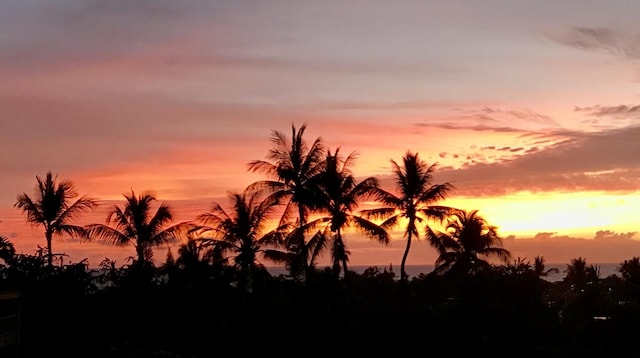 78-7070 Alii Dr Unit C201, Kailua-Kona, HI 96740 - view of nature at dusk