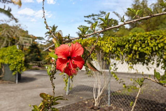 15-1385 Makuu Dr, Keaau, HI 96749 - exterior view