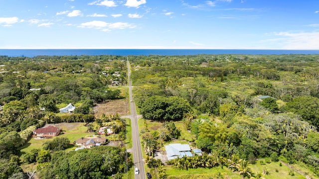 15-1385 Makuu Dr, Keaau, HI 96749 - aerial view of a heavily wooded area and a large body of water