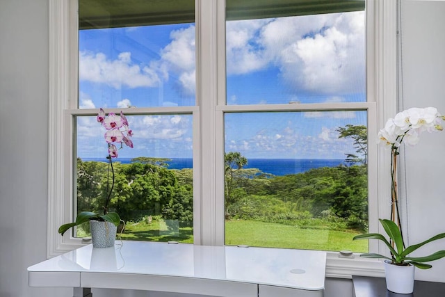 4858 Kahiliholo Rd Unit # 3, Kilauea, HI 96754 - photo 4