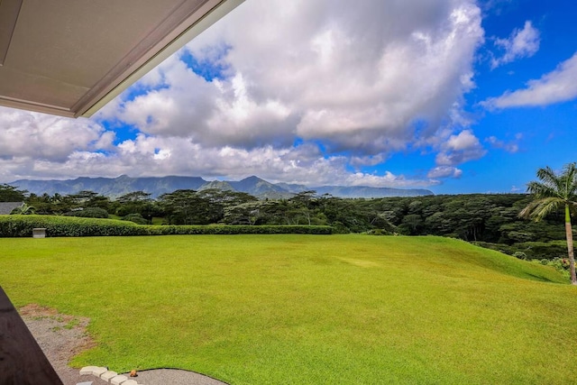 4858 Kahiliholo Rd Unit # 3, Kilauea, HI 96754 - photo 9