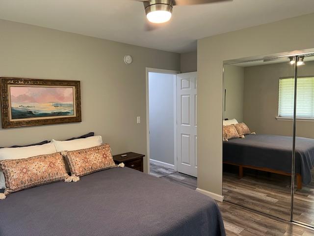 16-553 Orchidland Dr, Kurtistown, HI 96760 - bedroom with a closet, wood finished floors, and ceiling fan