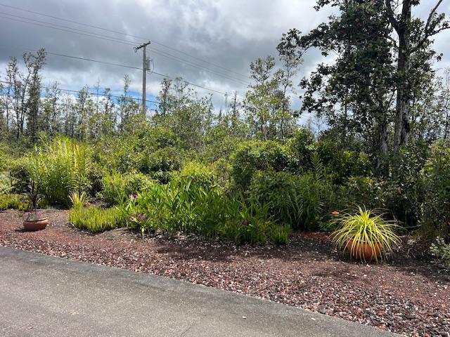 16-553 Orchidland Dr, Kurtistown, HI 96760 - view of undeveloped land