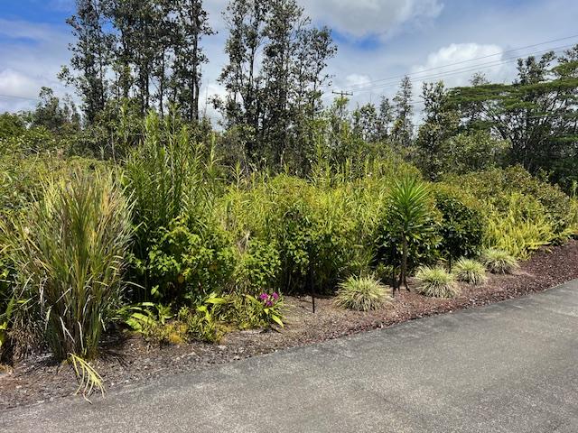 16-553 Orchidland Dr, Kurtistown, HI 96760 - view of asphalt street