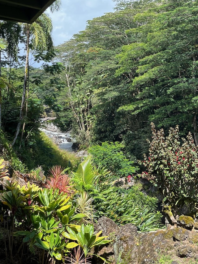 254 Kaiulani St, Hilo, HI 96720 - photo 1