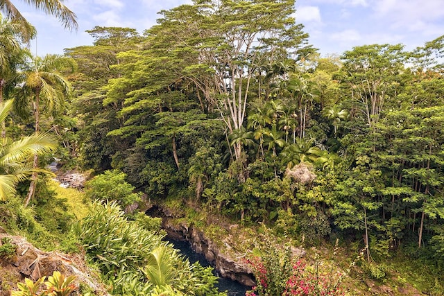 254 Kaiulani St, Hilo, HI 96720 - photo 15