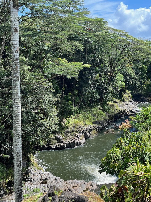 254 Kaiulani St, Hilo, HI 96720 - photo 4