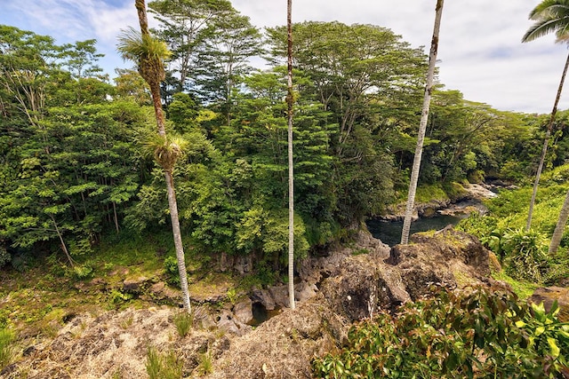 254 Kaiulani St, Hilo, HI 96720 - photo 16