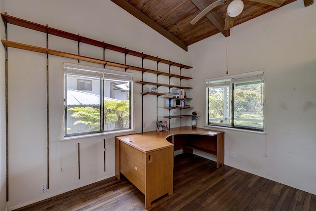254 Kaiulani St, Hilo, HI 96720 - photo 13