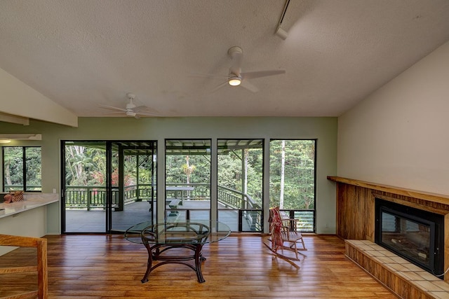 254 Kaiulani St, Hilo, HI 96720 - photo 14