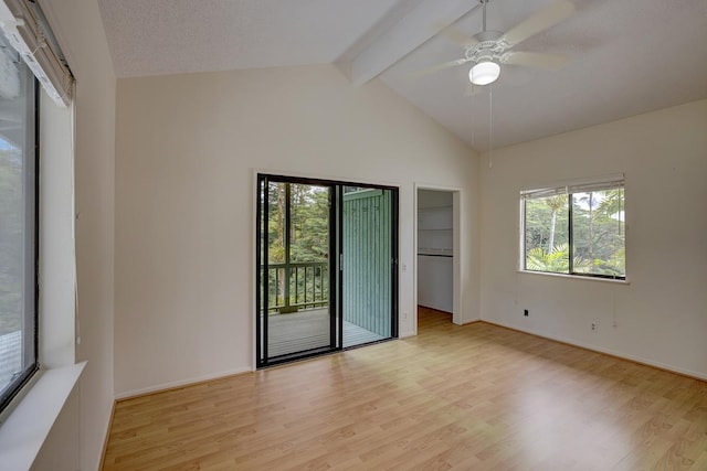 254 Kaiulani St, Hilo, HI 96720 - photo 18