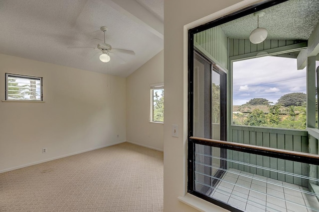 254 Kaiulani St, Hilo, HI 96720 - photo 21