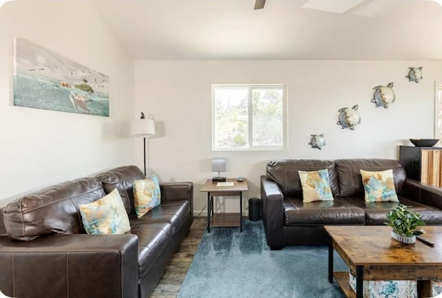 92-8260 Bamboo Ln, Ocean View, HI 96737 - living room featuring a ceiling fan and wood finished floors