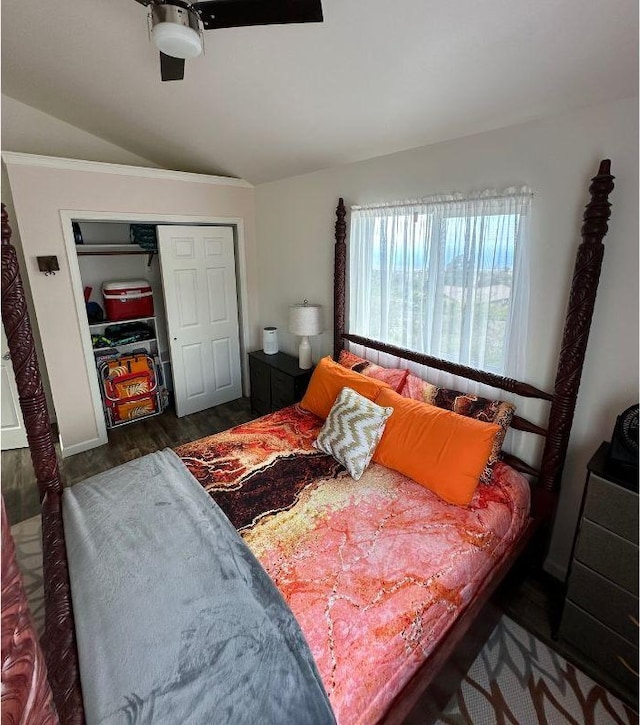 92-8260 Bamboo Ln, Ocean View, HI 96737 - bedroom with wood finished floors, vaulted ceiling, and a closet
