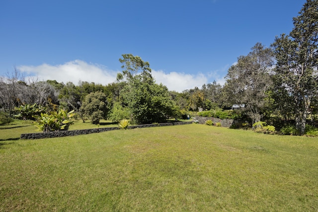 99-1808 Kilau Way, Volcano, HI 96785 - view of green lawn