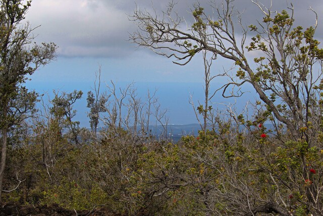 92-8593 Trade Wind Blvd, Ocean View, HI 96737