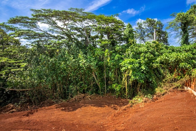 3351 Kalua Moa Rd, Koloa, HI 96756 - photo 30