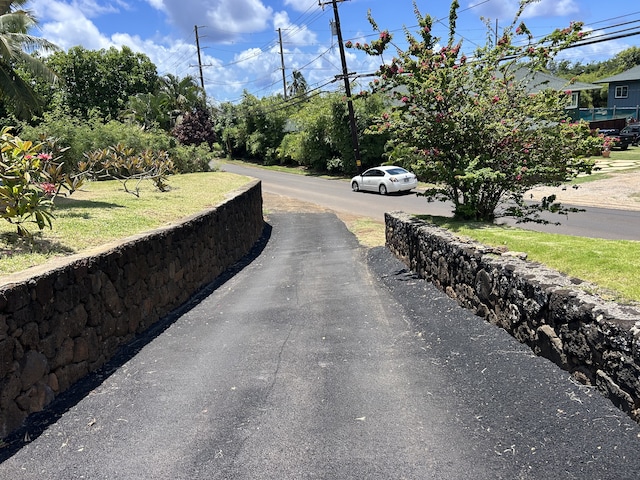 4666 Hauaala Rd Unit 1, Kapaa, HI 96746 - view of street